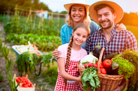 Projeto de Lei 11/2026