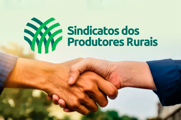 Projeto de Lei 12/2026